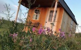 Montana Old West Cabins